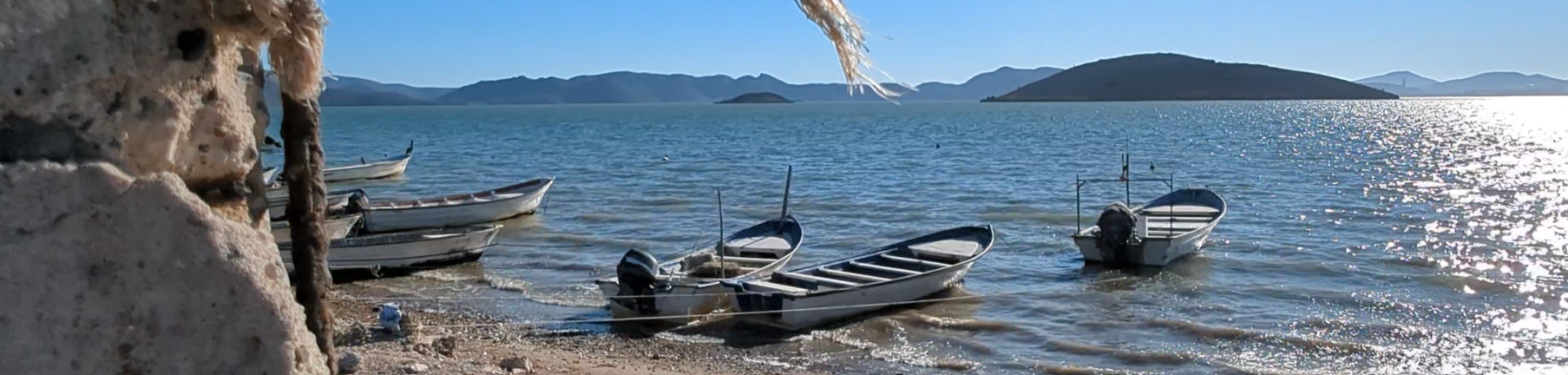 5. Cost of Living Study